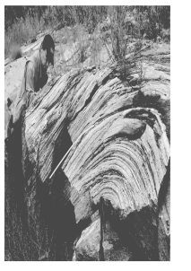 <strong>What do geologists call the layering seen in this picture?  </strong> A) tilted bedding B) metamorphic foliation C) sedimentary layers D) cleavage planes <div style=padding-top: 35px> 
