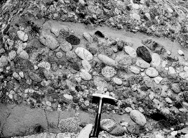 <strong>What type of rock is shown in the picture?  </strong> A) sedimentary B) igneous C) metamorphic D) crystalline <div style=padding-top: 35px> 