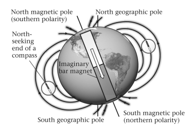 <strong>The shape of Earth's magnetic field is approximately that of a ____________. </strong> A) monopole B) dipole (such as that produced by a bar magnet) C) torus, a donut-shaped ring parallel to Earth's equator D) quadrupole, which is aligned with the equator