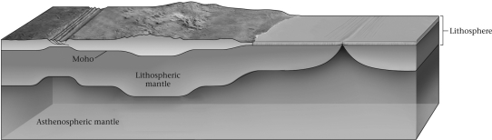 <strong>On average,continental crust is approximately ____________ as oceanic crust. </strong> A) equally thick B) half as thick C) five times as thick D) 20 times as thick