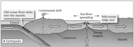 <strong>The term and concept of sea-floor spreading (see figure below)was developed by _____________. </strong> A) Hess and Dietz B) Hess and Wegener C) Wegener and Dietz D) Wegener