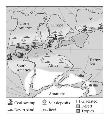 <strong>Consult the figure below.Abundant swamps led to the formation of coal during the Late Paleozoic in which of the following places? </strong> A) India B) southern Africa C) North America D) South America