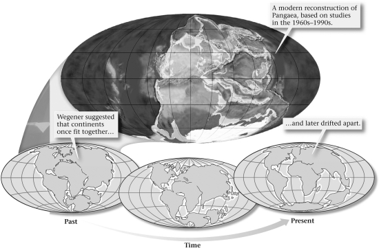 <strong>Wegener proposed continental drift after he observed evidence from fossils,glacial deposits,and the fit of the continents that suggested all of the continents were once ____________. </strong> A) aligned north to south along the prime meridian during the Late Cenozoic B) aligned east to west along the equator during the Late Mesozoic through the Cenozoic C) combined to form a supercontinent (he termed Rodinia) in the Proterozoic D) combined to form a supercontinent (he termed Pangaea) in the Late Paleozoic through the Mesozoic