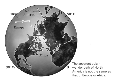 <strong>Why does each continent below have a different polar wander path? </strong> A) Wegener was right: continents move. B) The poles move. C) Both the poles and continents move.