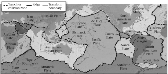 <strong>According to the figure below,every plate boundary can be recognized by ____________. </strong> A) the presence of active volcanoes B) the presence of an earthquake belt C) a deep chasm that can be seen from space D) None of the above are correct.