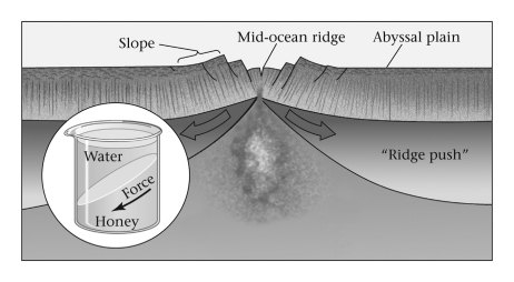<strong>Consult the figure below.Most of the pushing force driving plate motion is produced ____________. </strong> A) at mid-ocean ridges B) at subduction zones C) at collision zones D) in the interiors of continental plates