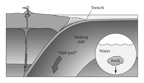 <strong>Consult the figure below.Most of the pulling force driving plate motion is produced ____________. </strong> A) at mid-ocean ridges B) at subduction zones C) at collision zones D) in the interiors of continental plates