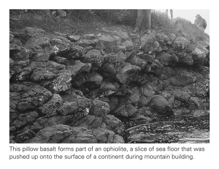 <strong>Pillow basalts,shown below,attain their distinctive blob-like shapes because their parent lavas do not travel far prior to solidification.This is because the parent lavas ____________. </strong> A) are completely devoid of volatiles and thus travel slowly B) erupt underwater and thus cool very quickly C) are highly felsic and thus travel slowly D) are ultramafic and thus freeze at exceptionally high temperatures