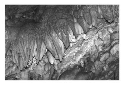 <strong>Physically precipitated (chemical)limestone that forms in caves is termed ____________. </strong> A) agate B) dolostone C) jasper D) travertine