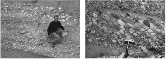 <strong>Consult the figure below.The difference between breccia and conglomerate is that conglomerate ____________. </strong> A) is finer grained than breccia B) is coarser grained than breccia C) possesses more angular grains than breccia D) possesses more rounded grains than breccia