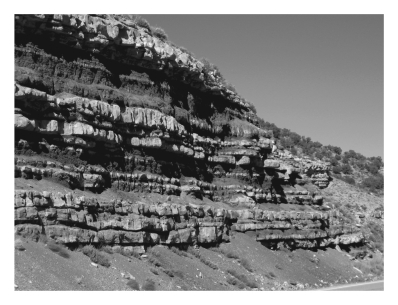 <strong>Geologists call individual layers of sedimentary rocks _____________,whereas several of them together are called ____________. </strong> A) beds; strata B) strata; beds