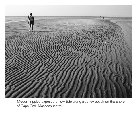 Asymmetric ripples indicate unidirectional flow,such as in a river,whereas symmetric ripples are indicative of flow in multiple directions,such as when waves wash back and forth in shallow water.