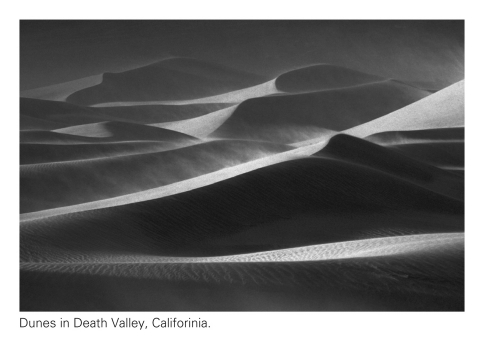 <strong>Ripples,dunes,and cross bedding are sedimentary structures that can be used to help determine _____________. </strong> A) wind direction B) current direction C) past environments D) All of the above are correct.