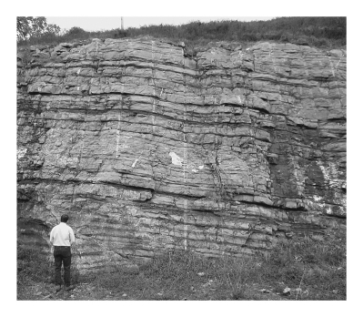 <strong>Consult the figure below.Limestone is most likely formed in which of the following environments? </strong> A) shallow-marine clastic B) shallow-marine carbonate C) marine delta D) deep marine