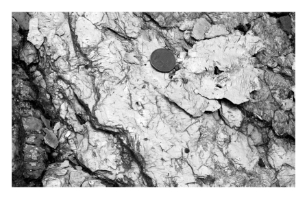 <strong>Clay minerals within a buried body of slate are recrystallized at high temperatures and pressures to form mica,producing a rock called phyllite; this is an example of ____________. </strong> A) diagenesis B) erosion C) metamorphism D) weathering