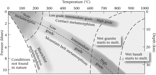 <strong>Consult the figure below.Compared to low-grade metamorphic rocks,high-grade rocks ____________. </strong> A) only occur at depths of 30 km B) are produced closer to the surface, high in the stratigraphic column C) are produced at greater temperatures and pressures D) are produced at cooler temperatures, but greater pressures