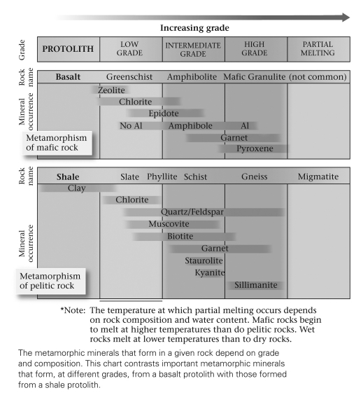 <strong>Consult the figure below.A mineral within a metamorphic rock that can be used to provide a narrow constraint on the temperature and pressure of formation of the rock is termed a(n)____________. </strong> A) thermineral B) index mineral C) mafic mineral D) halide mineral