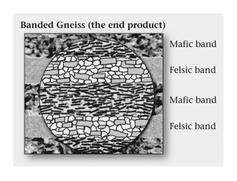 <strong>In the formation of gneiss from granite,the distinctive compositional bands form due to ____________. </strong> A) crystals migrating within the rock B) crystals dissolving, and atoms and ions migrating and reorganizing as new crystals C) crystals melting, with new crystals solidifying in color bands D) the bizarre and seemingly unknowable nature of the blueschist metamorphic facies