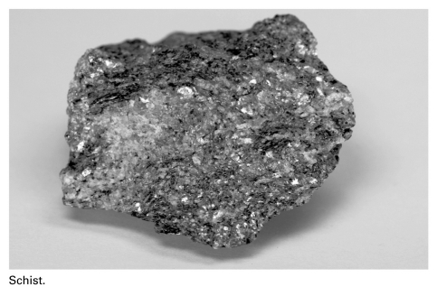 <strong>A primary difference between phyllite and schist is that ____________. </strong> A) schist contains mica, whereas phyllite contains only clay B) phyllite contains mica, whereas schist contains only clay C) mica crystals within schist are larger than those within phyllite D) mica crystals within phyllite are larger than those within schist