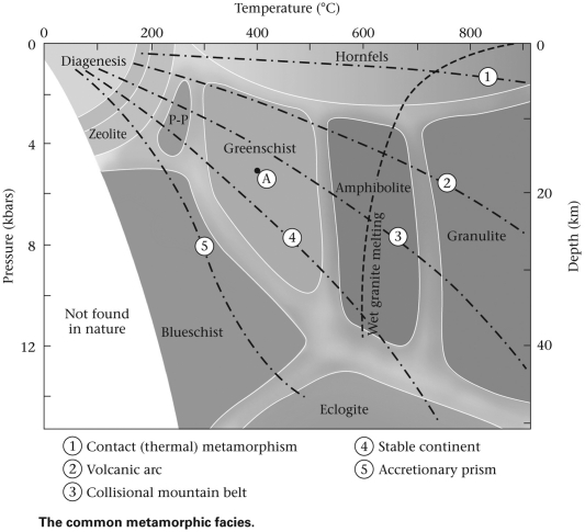<strong>Consult the figure below.As compared to the amphibolite metamorphic facies,the greenschist facies ____________. </strong> A) consist of lower-grade rocks B) consist of higher-grade rocks C) are an identical temperature and pressure regime; greenschists and amphibolites bear different mineral assemblages only because of differences in protolith chemistry