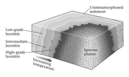 <strong>Consult the figure below.The region of thermally metamorphosed rock surrounding a cooled pluton is called a(n)____________. </strong> A) shear zone B) aureole C) oriole D) fire ring