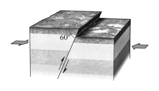 <strong>If,during an earthquake,a hanging wall slides upward relative to a footwall,the fault is termed ____________ if the fault is steep (closer to vertical than horizontal).  </strong> A) normal B) reverse C) strike slip D) thrust <div style=padding-top: 35px> 