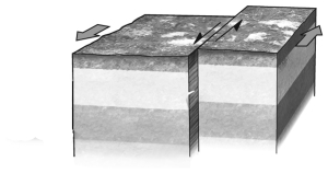<strong>If a fault is nearly vertical in orientation and the two walls of rock on opposite sides slide past one another horizontally,the fault is termed ____________.  </strong> A) normal B) reverse C) strike slip D) thrust <div style=padding-top: 35px> 