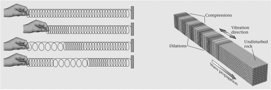 <strong>A coiled spring would be useful in illustrating a ____________ wave.  </strong> A) surface B) body C) shear D) compressional <div style=padding-top: 35px> 