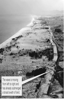 <strong>A tsunami is ____________.  </strong> A) an earthquake-generated sea wave that can sometimes destroy coastal cities thousands of kilometers from its source B) a sloshing of water back and forth within a lake or bay C) the amount of change in elevation of local sea level caused by a surging wave D) the tendency of wet, clay-rich soils to behave like a liquid during an earthquake <div style=padding-top: 35px> 