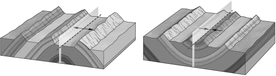 <strong>The sides of a fold,where curvature is at a minimum,are termed ____________. </strong> A) branches B) limbs C) axial planes D) hinges