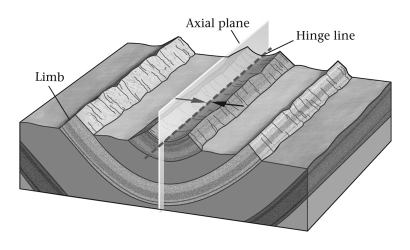 <strong>On a geologic map,if the contacts between sedimentary rock units form a series of parallel lines,with the youngest unit in the center,the underlying structure is a(n)____________. </strong> A) anticline B) basin C) dome D) syncline