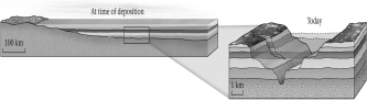 <strong>If the lithology and fossil content of two bodies of rock on opposite sides of a canyon are identical,then these remaining outcrops were likely physically connected at one time and formed part of an extensive,sheet-like layer of rock.This idea summarizes the principle of ____________. </strong> A) superposition B) original continuity C) original horizontality D) uniformitarianism