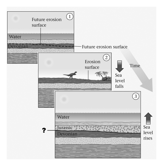 <strong>Buried erosional surfaces between parallel sedimentary strata are termed ____________. </strong> A) disconformities B) angular unconformities C) nonconformities
