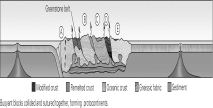 <strong>What term or phrase would best apply to the letters A,B,C,D and E in the figure below?  </strong> A) accreted terranes B) orogeny C) superplume D) K-T boundary event <div style=padding-top: 35px> 