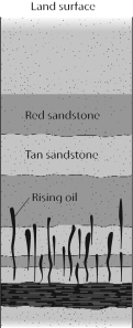 <strong>In the figure below,which is NOT a reason for the oil to migrate to the Earth's surface? </strong> A) It is hot and flows upward because of its temperature. B) It is lighter than any groundwater, and so it will rise through groundwater. C) There is nothing that looks like a trap rock above it, to prevent it from rising. D) It is under pressure and migrates upward toward lower pressure.