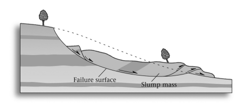 <strong>A ____________ may form at the head of a slump. </strong> A) toe B) failure surface C) scarp D) mass