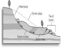 <strong>If the slump shown below had occurred many thousands of years before,and the head scarp and toe were no longer visible,how might you infer the presence of this slump? </strong> A) Look for bent-over trees. B) Look for sedimentary layers that were dipping at different angles from those nearby. C) Look for an unusually steep slope. D) Apply absolute age-dating techniques.