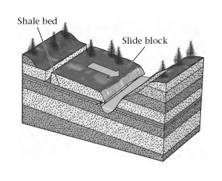 <strong>____________ in sedimentary rock may become a failure surface. </strong> A) Bedding planes B) Exfoliation joints C) Foliation planes