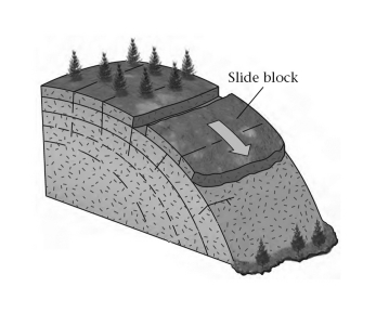 <strong>____________ may form parallel to slope surfaces in granite and become a failure surface. </strong> A) Bedding planes B) Exfoliation joints C) Foliation planes