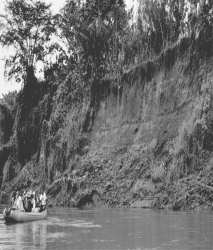 <strong>Which of the following processes probably caused the failure of this riverbank in Costa Rica? </strong> A) a combination of higher river level and stronger current after a recent storm B) a lahar from one of Costa Rica's volcanoes C) a rock slide triggered by an earthquake D) soil creep