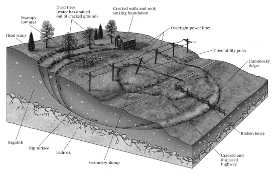 <strong>Which features in the figure are indicative of ongoing or recent slump movement? </strong> A) dead trees B) sinking foundations C) tilted utility poles D) All of the above are correct.