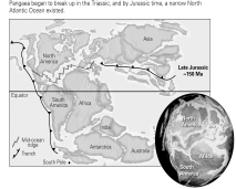 The Atlantic has been present since the Precambrian.