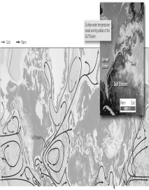 <strong>Based on the thermal image of the Gulf Stream (the inset box below),what would you conclude about the effects of ocean currents on the heat and temperature variations between equatorial regions and the poles? </strong> A) Ocean currents move colder water parallel to the equator. B) Ocean currents move colder water toward equatorial seas. C) Ocean currents move warmer water toward polar regions. D) Both b and c are correct.