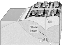 <strong>The well shown in this figure has become contaminated with naturally occurring salt water,drawn toward it because too much water was pumped from it for too long.What would be an easy way to restore the aquifer,that is,to push the saline groundwater back toward the ocean? </strong> A) Cover the near-shore sea bottom with heavy plastic and concrete to prevent more seawater from entering the aquifer. B) Install a line of wells between your contaminated well and the coast, and place desalination equipment in each one, to remove salinity from the aquifer. C) Convert your contaminated well into an injection well and begin to pump freshwater into the aquifer through it. D) Increase the amount of rainfall that occurs just inland from your contaminated well.