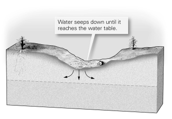 <strong>If the cross-section shown here were typical of the main channel of a long river,would you expect the river to dry up as you followed it downstream? </strong> A) Yes, because the water is contaminated. B) Not if there were additional tributaries entering it downstream. C) Yes, because it is in a desert. D) No.