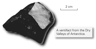 <strong>Why would the Antarctic ventifact shown below be black? </strong> A) It is made of dolomite. B) It has been carbonized. C) It is coated with desert varnish. D) It formed from coal.