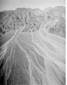 <strong>It appears as if more recent channels in the alluvial fan complex shown below are lighter in color than the general surface of the fan.What geologic process could have caused this effect? </strong> A) removal of desert-varnished clasts during formation of the channels, thus exposing less varnished and lighter colored material B) the longer and bigger growth of plants on the areas between the recent channels, which from this far away cause the intrachannel areas to appear darker C) transport of a large amount of dark-colored material out of the canyons during recent storms D) the formation of inselbergs