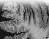 <strong>Which feature in the the photo below would a geologist study to infer that running water was the primary agent to have formed the landscape in the photo? </strong> A) the sand dunes B) the dendritic patterns C) the alluvial fans D) the volcanoes