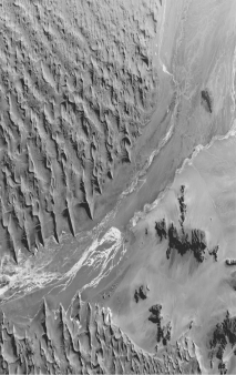 <strong>In this high-altitude photo of a desert,what are the dark grey features in the bottom right of the photo? Hint: The area that looks like water flowing from top right to bottom left of the photo is not water. </strong> A) volcanoes B) chimneys C) inselbergs D) cuestas