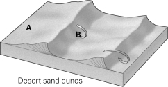 <strong>Which would be a better place to build a house-at point A or at point B? </strong> A) at A B) at B C) A and B are equally good locations. D) The picture does not provide any useful information for answering the question..